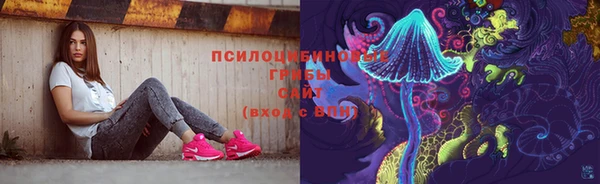 гашик Белоозёрский