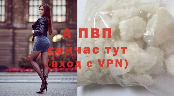 гашик Белоозёрский