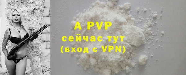 амф Белокуриха