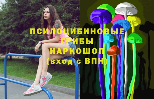 гашик Белоозёрский