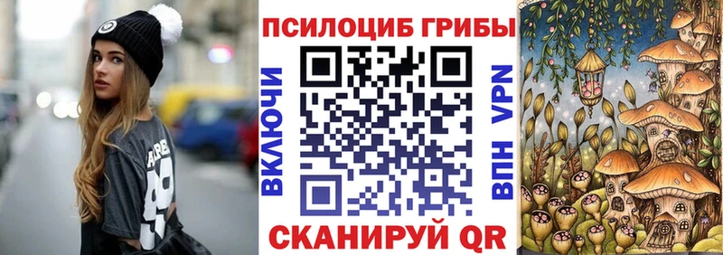 где купить   кракен ссылки  Псилоцибиновые грибы MAGIC MUSHROOMS  Волоколамск 
