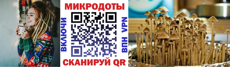 Псилоцибиновые грибы Cubensis Волоколамск